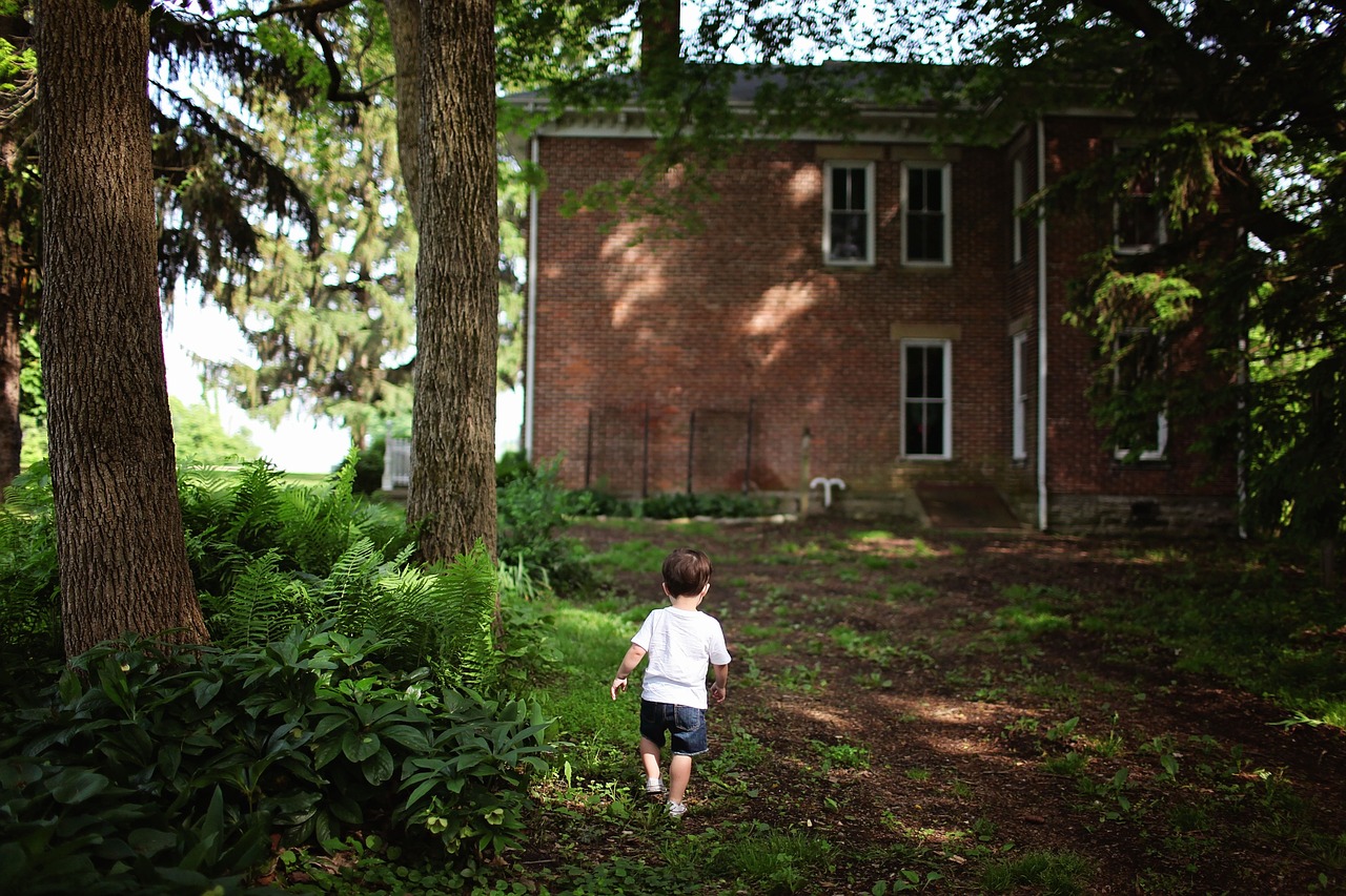How to Raise Backyard Chickens Sustainably